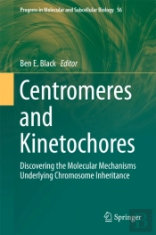 Centromeres And Kinetochores