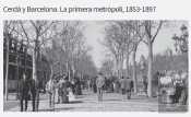 Cerda Y Barcelona