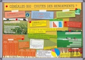 Céréales Bio : Chutes Des Rendements ?