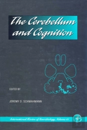 Cerebellum And Cognition