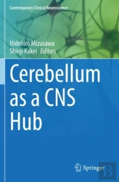 Cerebellum As A Cns Hub