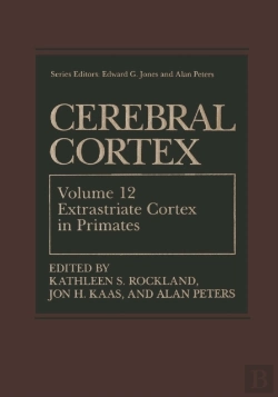 Bertrand.pt - Cerebral Cortex