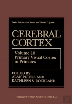 Bertrand.pt - Cerebral Cortex