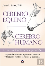 Cerebro Equino Cerebro Humano