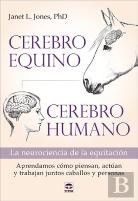 Cerebro Equino Cerebro Humano