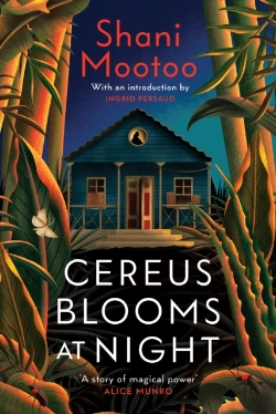 Bertrand.pt - Cereus Blooms At Night