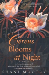 Cereus Blooms At Night