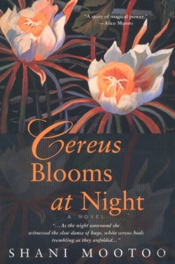 Bertrand.pt - Cereus Blooms At Night