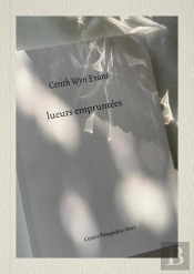 Cerith Wyn Evans : Lueurs Empruntees