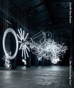 Bertrand.pt - Cerith Wyn Evans