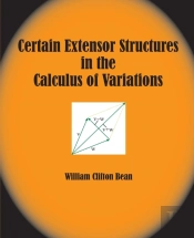 Certain Extensor Structures In The Calculus Of Variations