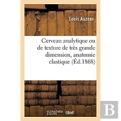 Cerveau Analytique Ou De Texture De Tres Grande Dimension, Anatomie Clastique