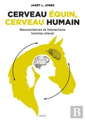 Cerveau Équin, Cerveau Humain : Neurosciences Et Interactions Homme-Cheval