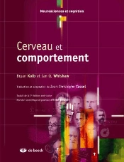Cerveau Et Comportement