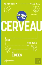 Cerveau