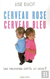 Cerveau Rose  Cerveau Bleu