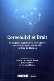Cerveau(X) Et Droit : Neurodroit, Algorithmes, Intelligence Artificielle, Objets Connectés, Centres Et Décision
