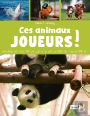 Ces Animaux Joueurs !