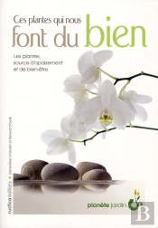 Ces Plantes Qui Nous Changent La Vie