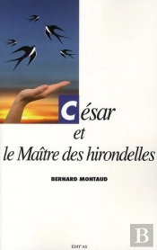 César Et Le Maitre Des Hirondelles