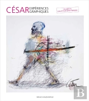 César, Expériences Graphiques