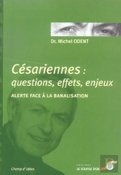 Cesariennes ; Questions, Effets, Enjeux