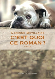 C'Est Quoi Ce Roman ?