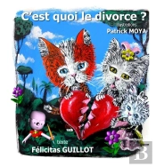 C'Est Quoi Le Divorce ?