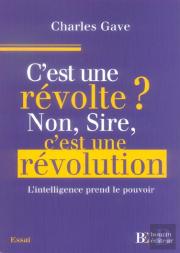 C'Est Une Revolte ? Non Sire, C'Est Une Revolution ; L'Intelligence Prend Le Pouvoir