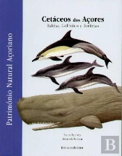 Cetáceos dos Açores