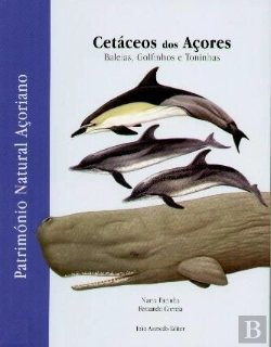Bertrand.pt - Cetáceos dos Açores
