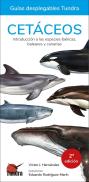 Cetaceos