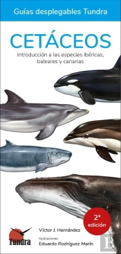 Cetaceos