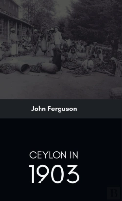 Bertrand.pt - Ceylon In 1903 Describing The Progress Of The Island Since 1803