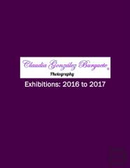 Cgb Photography Exhibitions