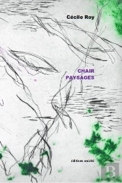 Chair Paysages