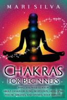 Chakras For Beginners