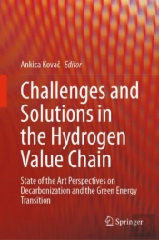 Challenges And Solutions In The Hydrogen Value Chain