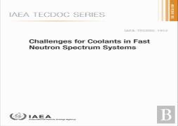 Challenges For Coolants In Fast Neutron Spectrum Systems