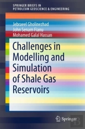 Challenges In Modelling And Simulation Of Shale Gas Reservoirs