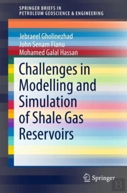 Bertrand.pt - Challenges In Modelling And Simulation Of Shale Gas Reservoirs