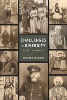 Challenges Of Diversity