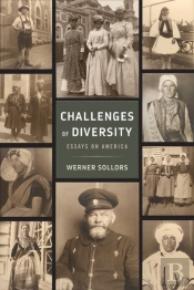 Challenges Of Diversity