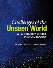Challenges Of The Unseen World