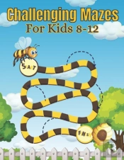 Challenging Mazes For Kids 8-12