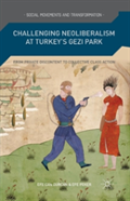 Challenging Neoliberalism At Turkeyâ€™S Gezi Park