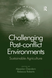 Challenging Post-Conflict Environments