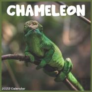 Chameleon 2022 Calendar