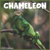 Chameleon 2022 Calendar