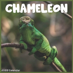 Bertrand.pt - Chameleon 2022 Calendar
